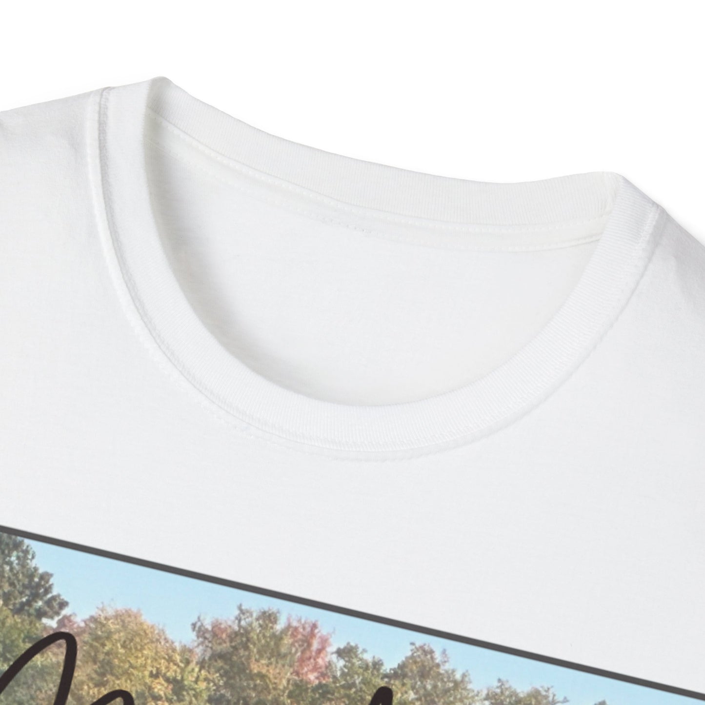 Marvelous Colorful Fall Trees T-shirt is for Anyone