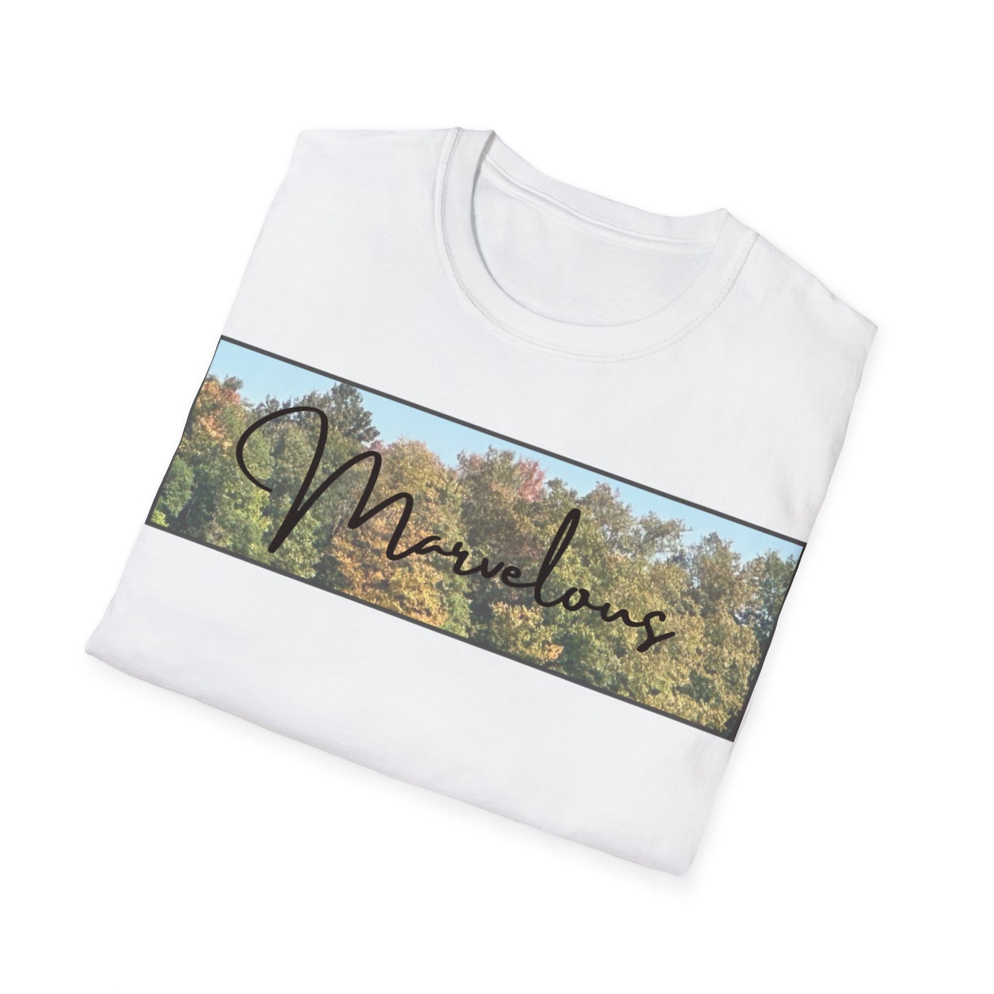 Marvelous Colorful Fall Trees T-shirt is for Anyone