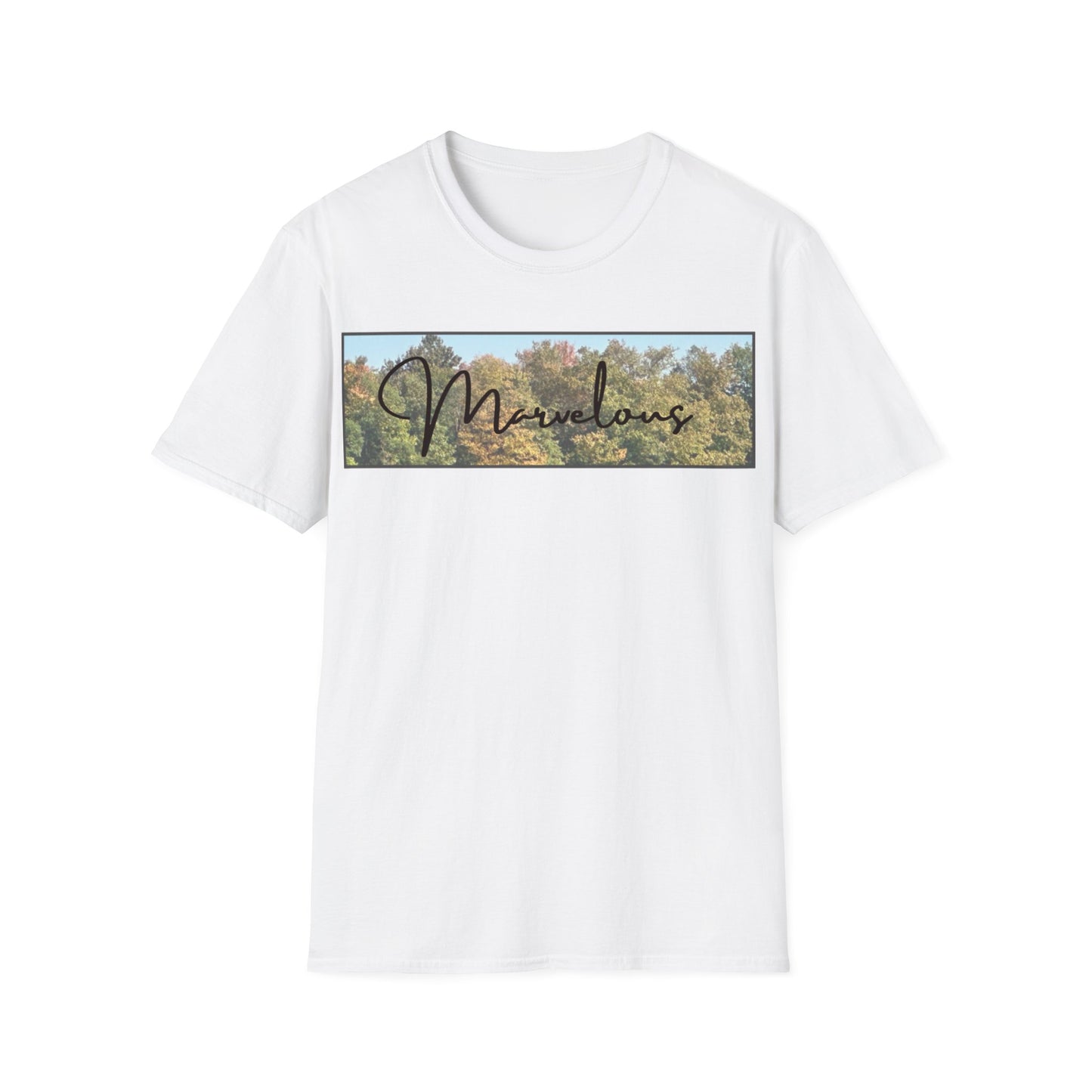 Marvelous Colorful Fall Trees T-shirt is for Anyone